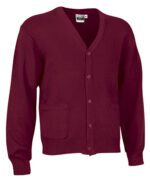 Chaqueta CARDIGAN - Imagen 2