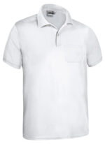 Polo CALIFORNIA - Imagen 2